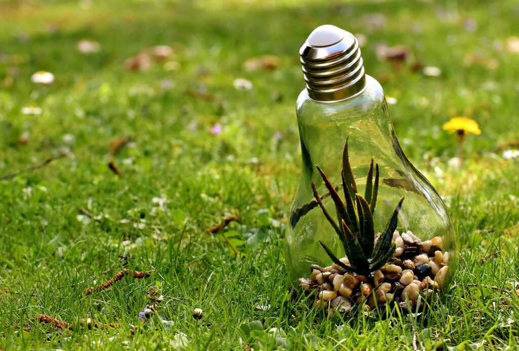 environmental protection, nature, lightbulb-3342204.jpg